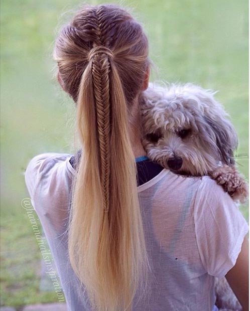 Braided Hairstyles Into Ponytail