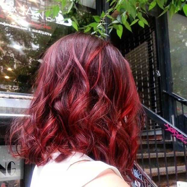 Dark Red Lob with Light Red Highlights