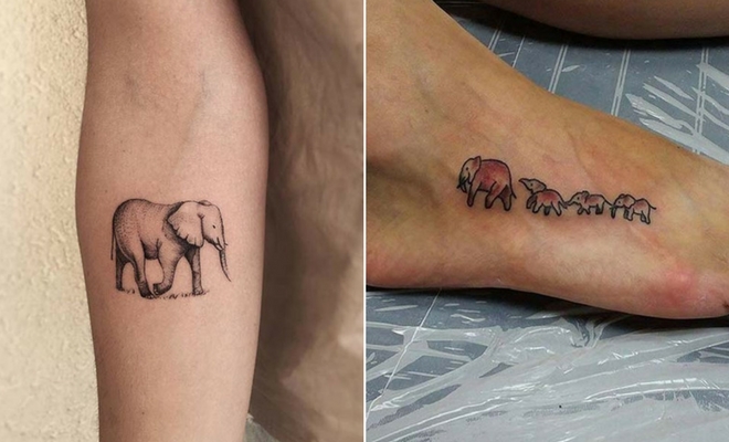 Sketch work elephant tattoo on the leg (2 years
