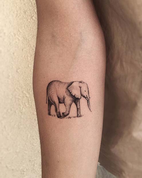 Baby Elephant Temporary Tattoo (Set of 3) – Small Tattoos