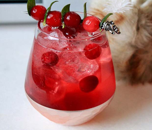 Cranberry and Vodka Cocktail 