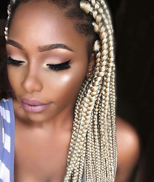 Blonde And Black Box Braids Hairstyles Hair Styles Ideas