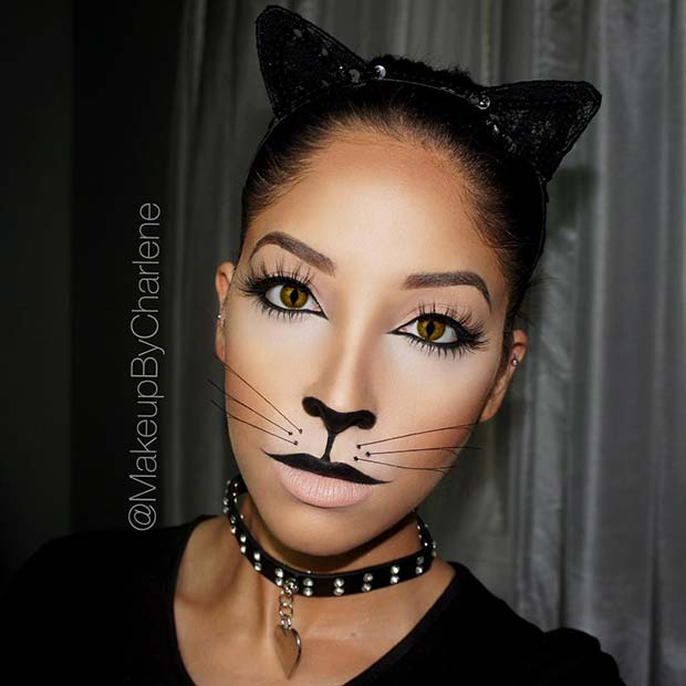 Cat Makeup Ideas For Beginners Infoupdate