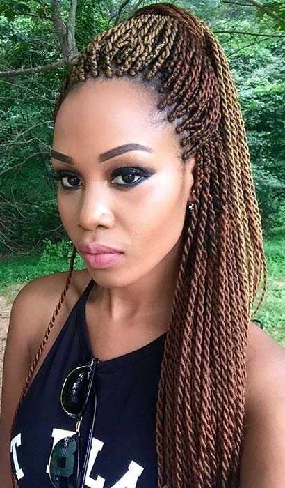 Twist Braids Hairstyles