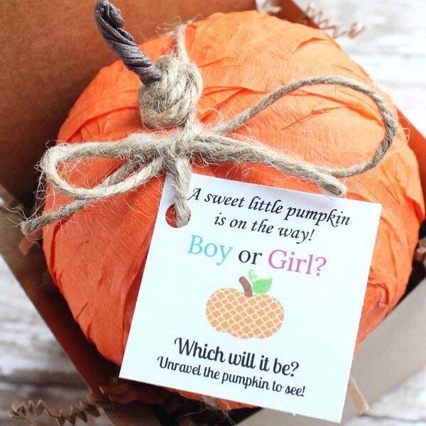 Unique Pumpkin Gender Reveal Idea