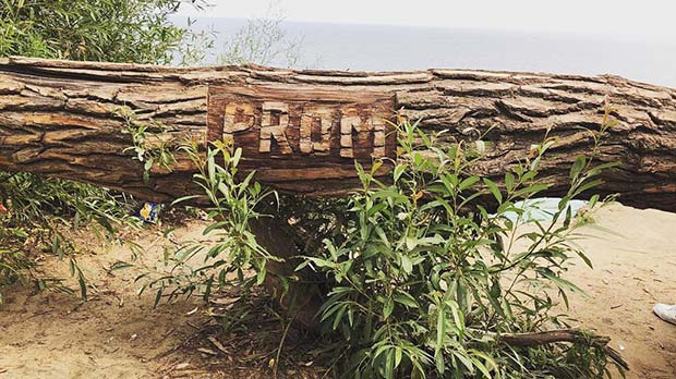 Unique Tree Prom Proposal