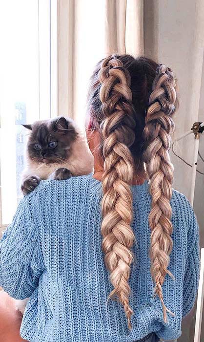 Two Dutch Braids by Larinabeauty