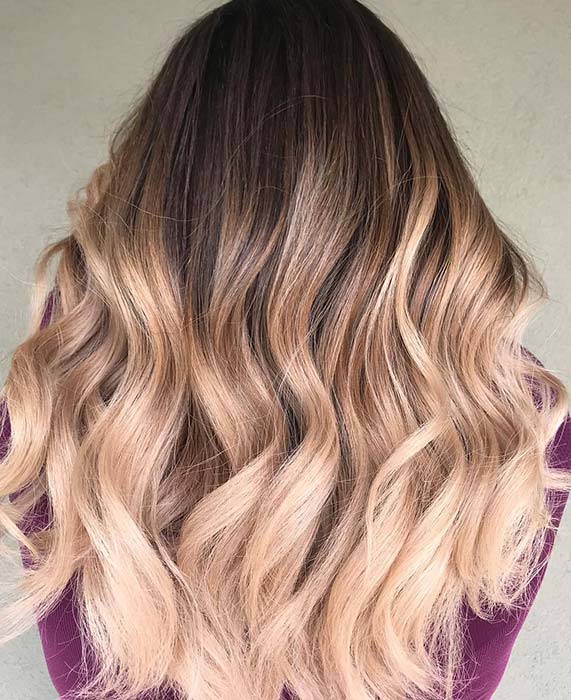 Brown Hair with Ombre Highlights
