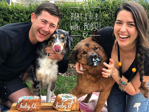 Adorable Gender Reveal with Dogs