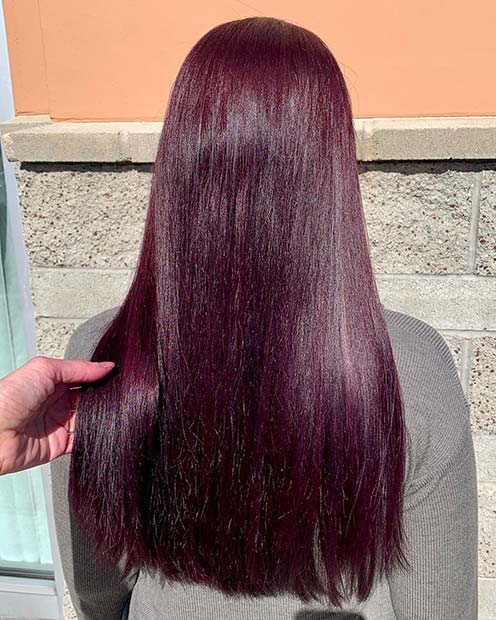 Beautiful Violet Hair