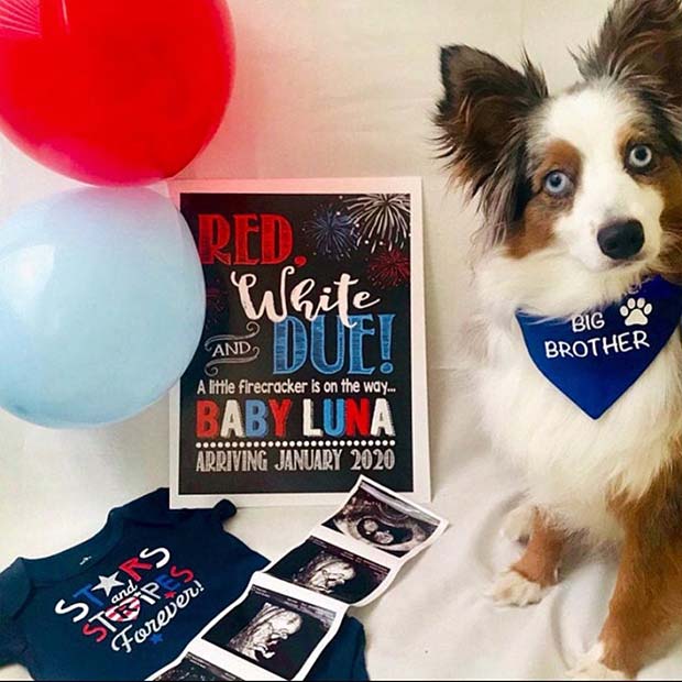 Pregnancy Announcement with an Adorable Dog